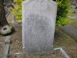 image of grave number 42099
